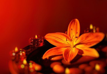 成为成都优秀的spa会所的5个理由